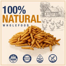 USA Grown Black Soldier Fly Larvae for Chickens - 100% Natural Dried Mealworms for Chickens - Grubs with 85X More Protein Chicken Treats for Laying Hens - Birds Feed Supplement for Ducks & Reptiles