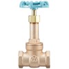 Daiwa Valve, Bronze Gate Valve, 10K Core, 10G-CN20A