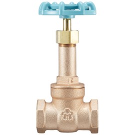 Daiwa Valve, Bronze Gate Valve, 10K Core, 10G-CN20A