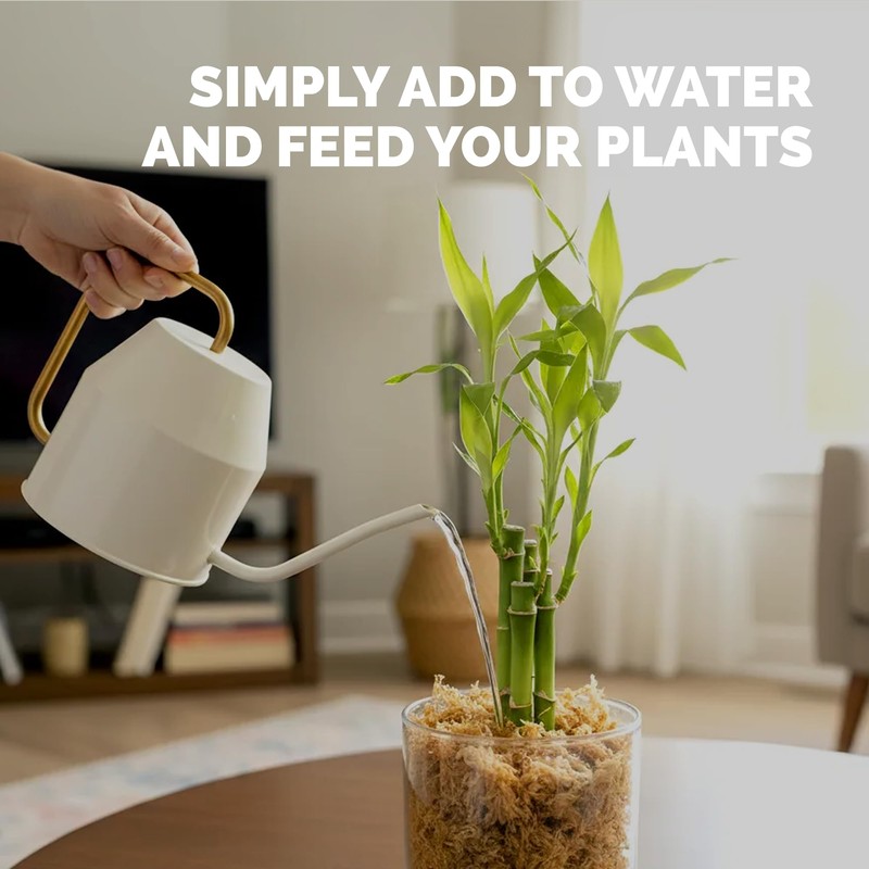 Lucky Bamboo Fertilizer – Liquid Plant Food for Greener Stalks,