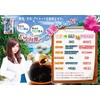 Japan Gals Ryukyu Moromi Vinegar Tablets 9.5 oz (270 mg)