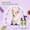 Flea Tick Protection Kit (Lavender Shampoo - Lemongrass Spray)