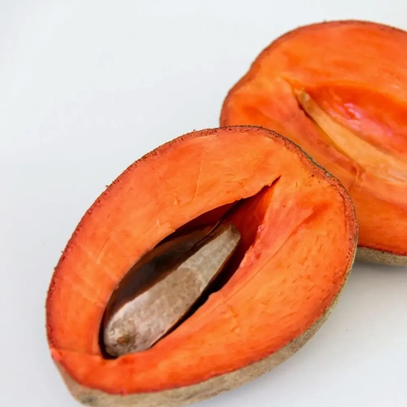 Aceite De Hueso De Mamey Puro Cosmetico Y Alimenticio 250ml