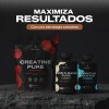 Hongo Melena De Leon Nootropico 200 Capsulas Vitalbotanics