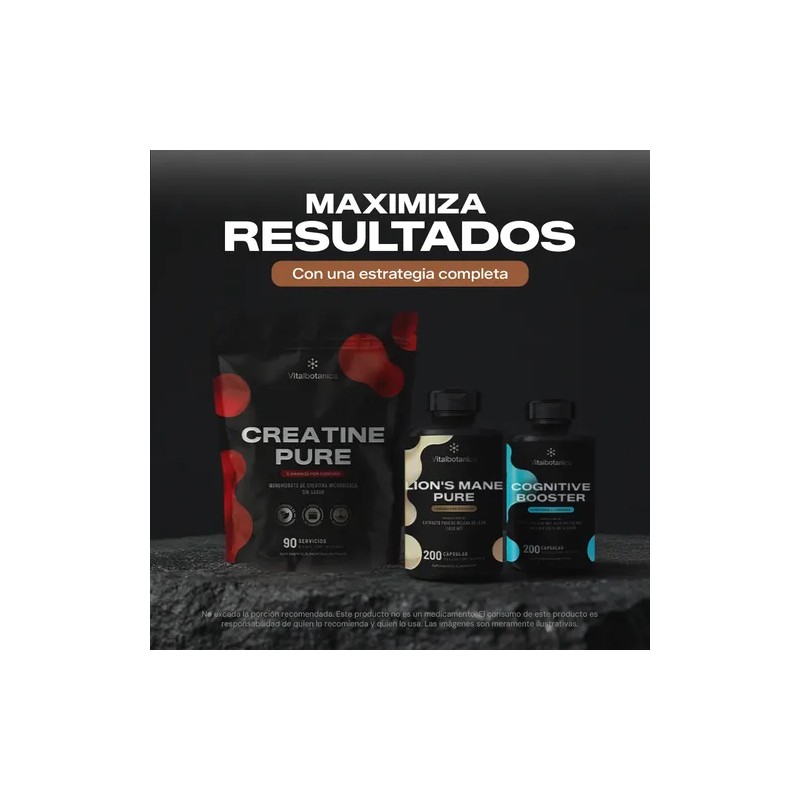 Hongo Melena De Leon Nootropico 200 Capsulas Vitalbotanics