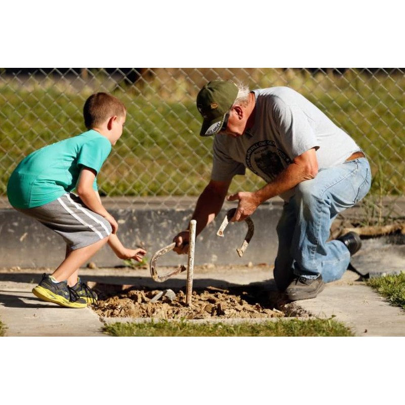 Stinger Professional Pitching Horseshoes- USA Made (Blue- Single Pair (2