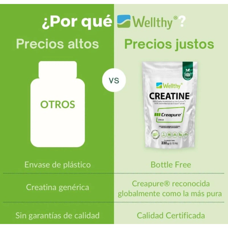 Suplemento Wellthy Creatina Creapure De 330g