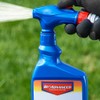 BioAdvanced Lawn Weed Killer Ready-to-Spray, Broadleaf Formula, 32 oz
