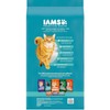 Iams Proactive Health Chicken and Turkey Dry Cat Food, 22