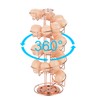 Toplife Spiral Design Metal Egg Skelter Dispenser Rack, Storage Display