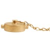 Brass Pin Lug 1 1/2" NH Cap with Chain