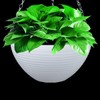 Foraineam Set of 7 Colors Self-Watering Hanging Planter Indoor Outdoor
