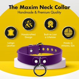 VP Leather Mark I Collar – Stylish Adjustable Neck Collar for Men & Women - Top Grain Leather & Soft Lambskin, Fashionable Design w/Nickel Plated Buckles, Eyelets, Studs & O-Ring