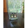 Winter Penguin Couple Glass Square Candle Holder Seasonal Home Decor