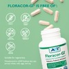 Floracor – Probiotics & Enzymes to Support Intestinal & Gut