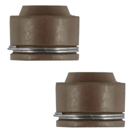 Caltric 2X Valve Stem Seal Compatible with Honda Foreman 450 1998 1999 2000 2001 2002 2003 2004