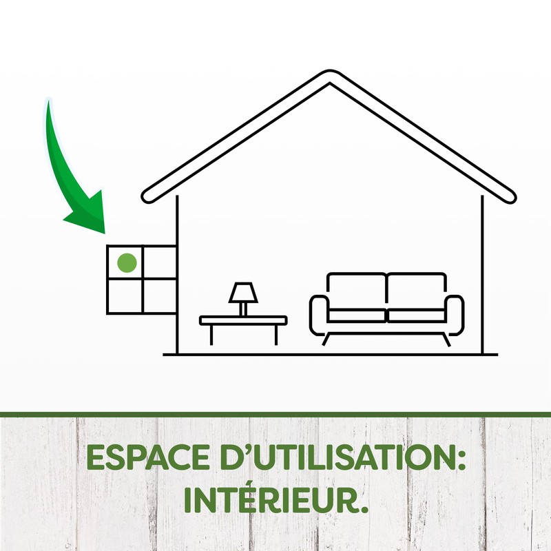 Pyrel Fly Traps and Fruit Flies - Window Stickers, Iris