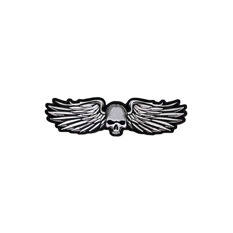 Hot Leathers-PPA6810 Skull and Wings Patch (Multicolor, 5" Width x
