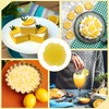 TIESOME 100 Pack Lemon Wedge Stretch Wraps Covers, Lemon Nets