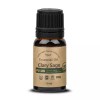 Pureus [에스에스_62]퓨어스 에센셜 농 에센셜 10ml SS Pure's Essential Oil Essential 10ml