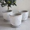 SPICE OF LIFE CCGH1810WH Flower Pot, Relief Planter, Herringbone, White,