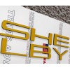 Advanced Trims YELLOW Front Splitter PLASTIC LETTERS Fits Shelby GT350