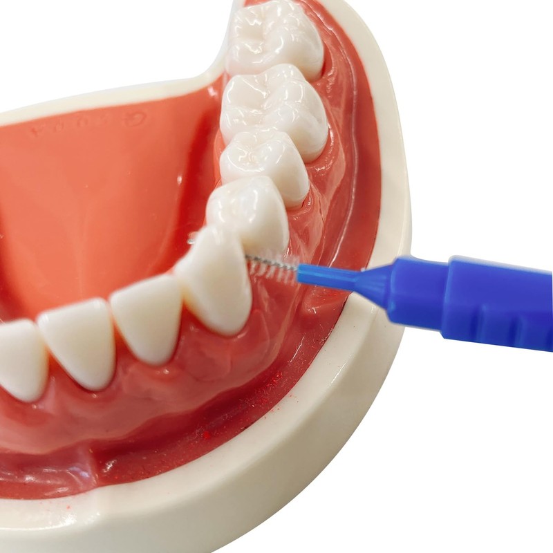 Ebisu Daily Cap Interdental Brush, 20 Pieces, SS Set of