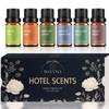 Premium Hotel Fragrance Oil Collection for Diffusers, Essential Oils for