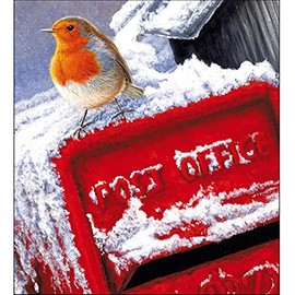 Woodmansterne Pack of 5 Charity Christmas Greeting Cards of 1 Design (Robin Postman)