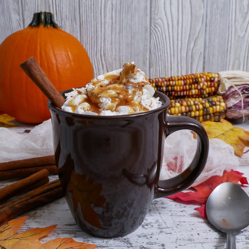 Double Donut Pumpkin Spice Hot Chocolate Mix Packets, Flavored Pumpkin