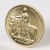 British Una and Lion Young Victoria Gold Coin Replica