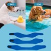 3 PCS Dog Swim Cap Waterproof Rubber Ear Covers 3