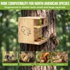 Extra Large Wooden Squirrel House Feeder Outdoor Heavy Duty Nesting