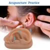 SimCoach Modelo de oreja de acupuntura, réplica de oreja artificial