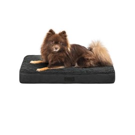 lionto Hundebett orthopädisch, 60x40x8 cm, Robustes Hundekissen mit weichem Plüsch, Bezug abnehmbar & waschbar, wasserabweisend, für kleine & große Hunde sowie Katzen geeignet, schwarz