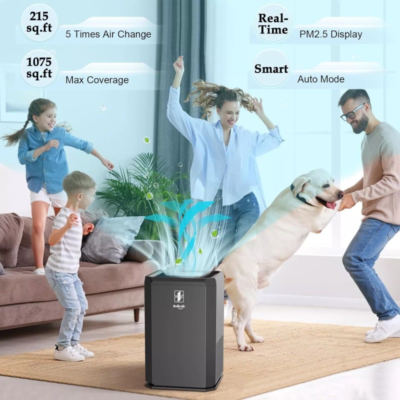 SmileAir HEPA Air Purifier for Large Room, Auto Mode/Timer/Fil