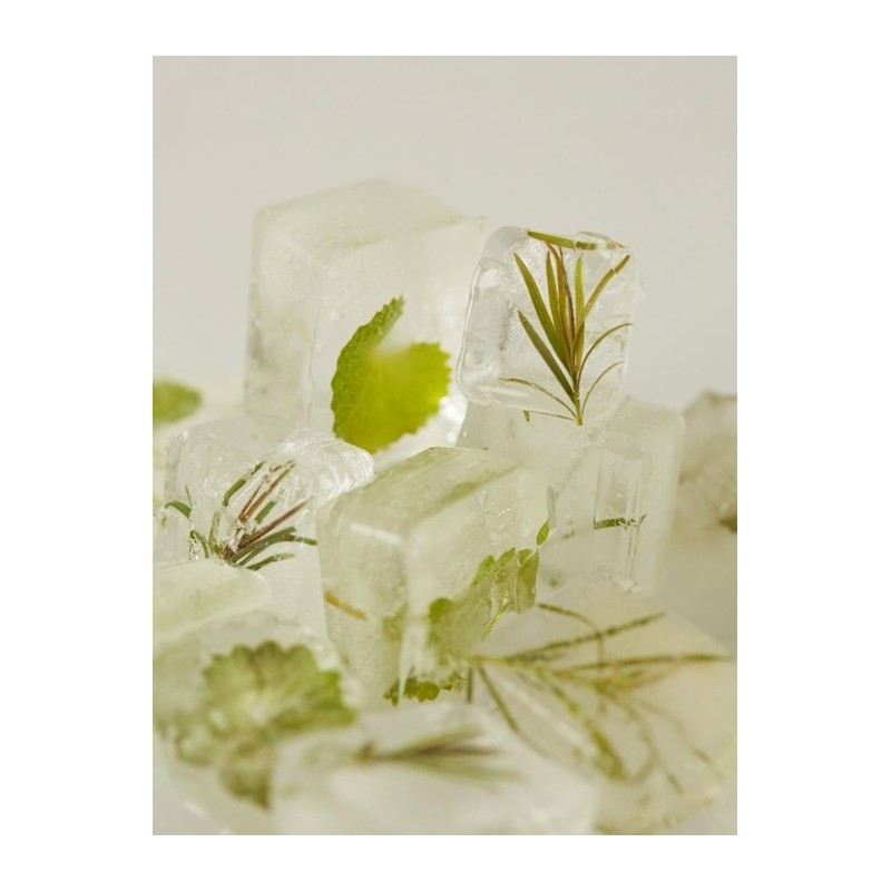 Papa Recipe Tea Tree Control Cica Ampoule 30ml / 티트리