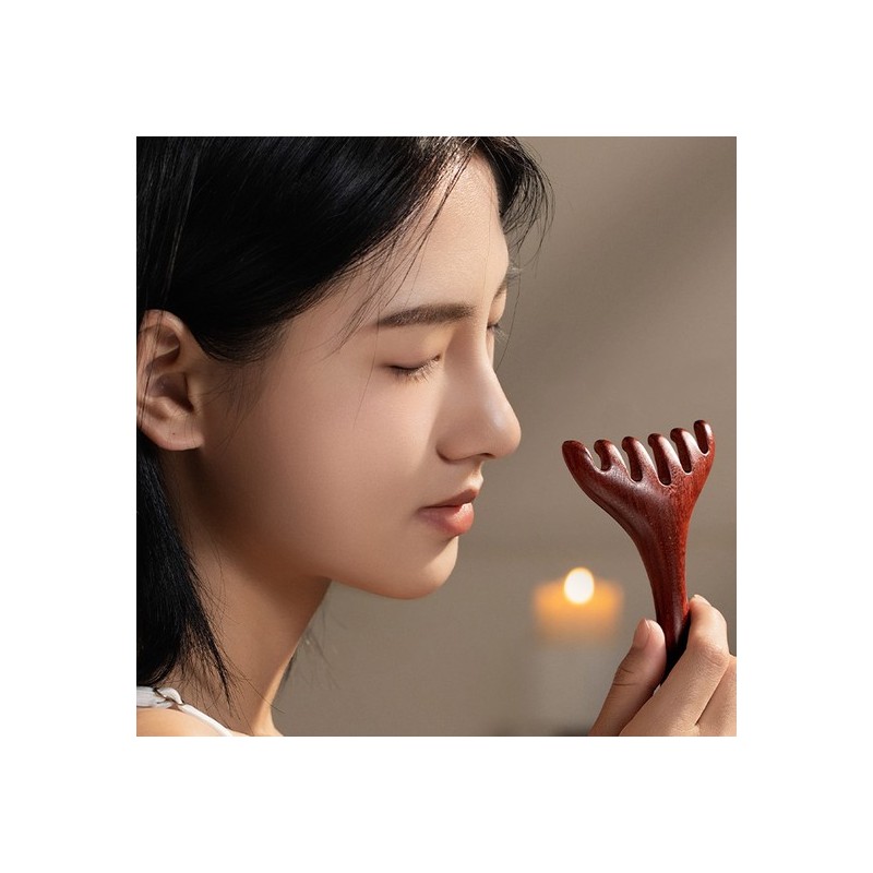 Luz Luna Rouge Luna Facial Cleansing Comb Scalp Massage Comb