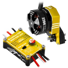 GOUPRC 2204 2400KV Brushless Outrunner Motor with Transmission & 30A Brushless Mini Esc for SCX24 Axial 1/24 Remote Control Car Truck Crawler Black & Gold