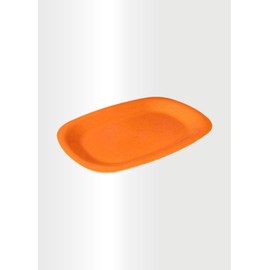 ECO Plastic SET-of-2 Serving Platter Ideal for Picnics and Parties, Extremely Durable Plastic (Orange)