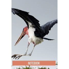 Bergamot Notebook: blank lined composition journal | Bergamot notebook | 100 pages