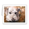 DJ Rogers Fine Art Schnoodle - Set of 10 Note