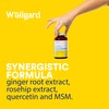 Vegan Glucosamine Phytodroitin by Wellgard - Quercetin, MSM, Botanical Alternative