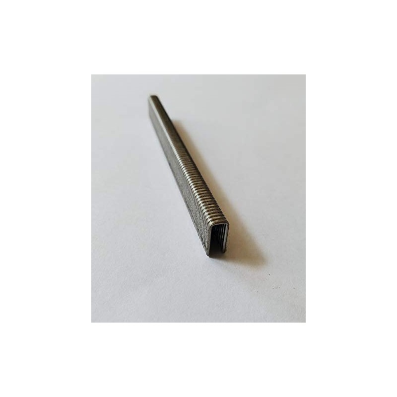 NAILPRO L11SS Stainless Steel 1/4" Narrow Crown x 3/4" Leg