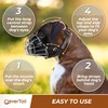 CleverTail Metal Muzzle for Boxer Dog Breed – Bite Proof