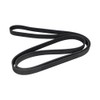 CONTITECH 6PK2175 V-Ribbed Belt