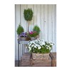 Dehner Rattan Planter, Approx. 30 x 15 x 15 cm,