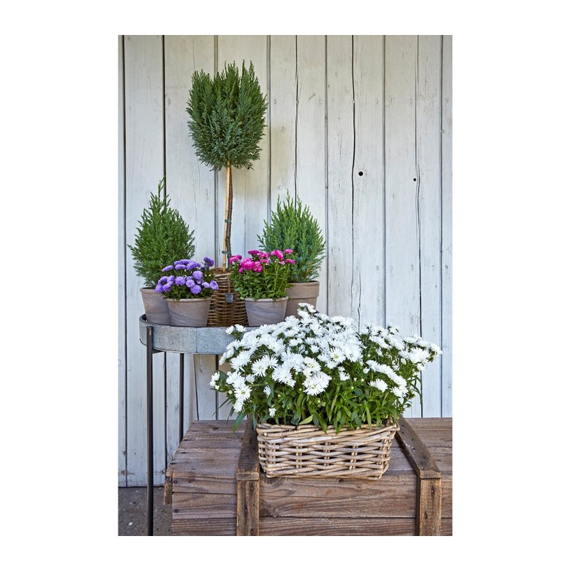 Dehner Rattan Planter, Approx. 30 x 15 x 15 cm,