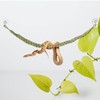 Wzttdm Snake Climbing Rope, Snakes Enrichment Toys, Ball Python Tank