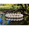 RAYON White Shell Tridacna bead bracelet Men Stretch 12mm 7,